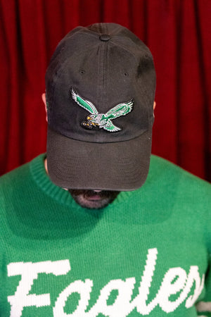 Philadelphia Eagles Go Birds Black Clean Up Hat