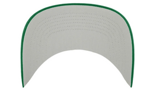 Philadelphia Eagles Historic White Roscoe TT hat