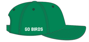 Philadelphia Eagles Historic Kelly Clean Up hat with Go Birds