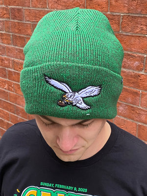 Philadelphia Eagles Brain Freeze Kelly Knit hat