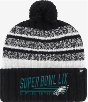 Philadelphia Eagles Super Bowl 59 Black Tavern Knit Hat