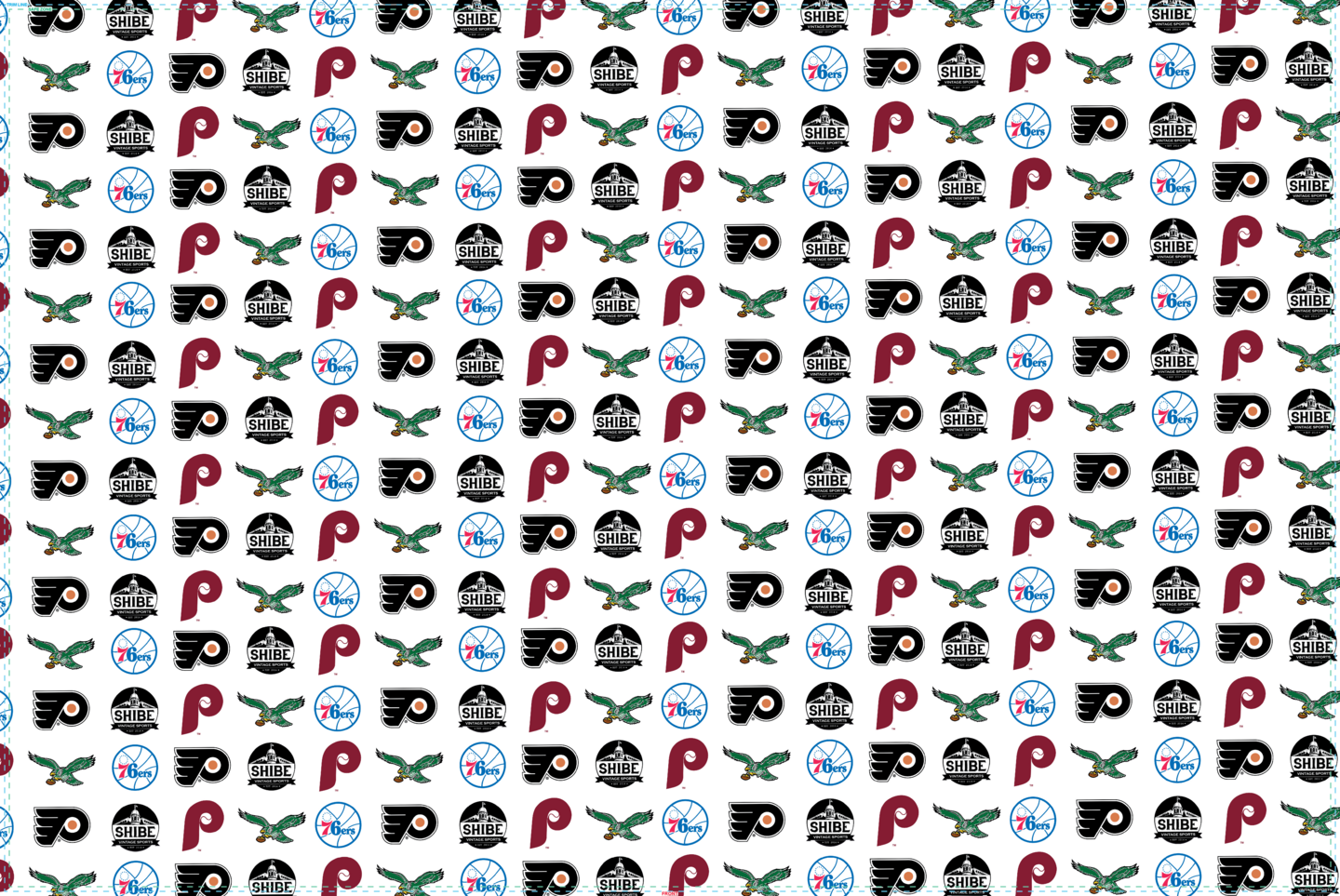 Philly Sports Wrapping Paper (5 sheets)