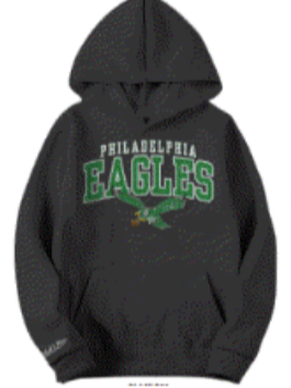 Philadelphia Eagles Throwback Youth hooded sweatshirt - Shibe Vintage Sports