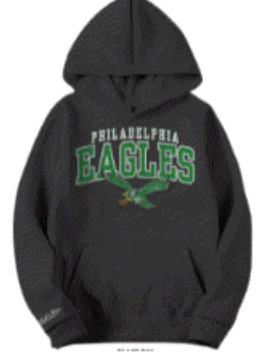 Philadelphia Eagles Throwback Youth hooded sweatshirt Shibe